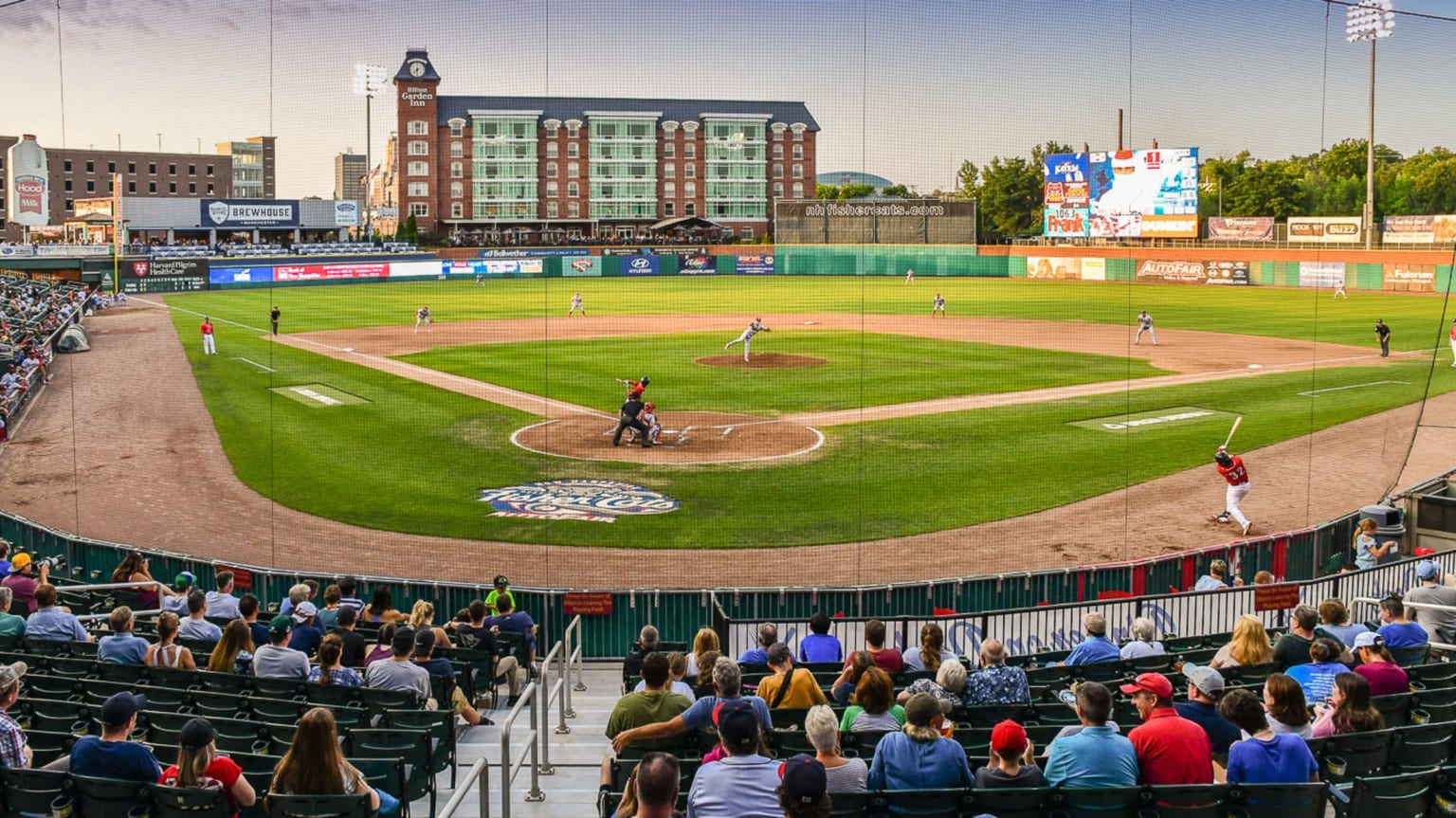 MLB Farm System Explained: Levels, Affiliates and Call-Ups